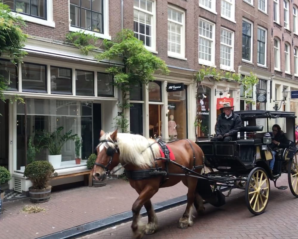Amsterdam B&B Barangay