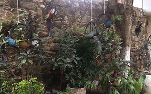Casa Berastegui