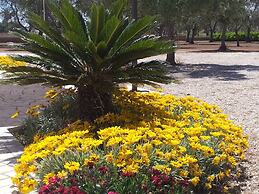 B&B Otranto Le Sancinare
