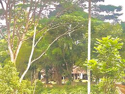 Captain's Bungalow
