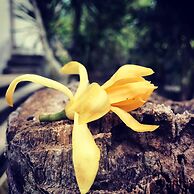 El Homestay Bali
