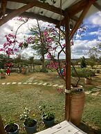 Wild Island B&B