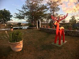 Wild Island B&B