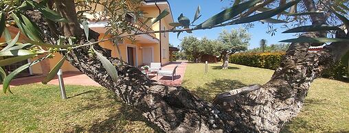 Villa Aurelio
