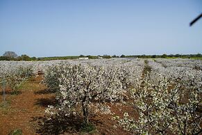 Masseria Guadiano Vecchio