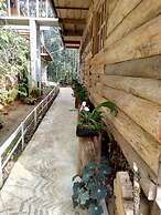 Hostel Paraiso Verde Coban