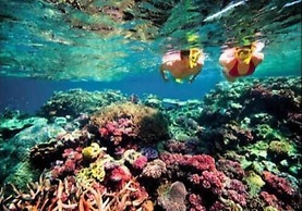 Bondi Backpackers Nha Trang - Hostel