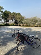 Baanpufa Resort