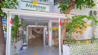 Mimosa Pension