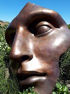 Adrian D'Cap