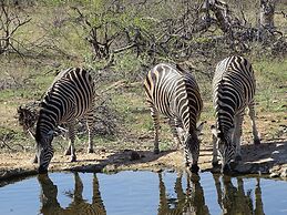 Ku Sungula Safari Lodge