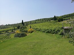 Costa degli Ulivi