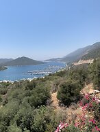 Nirvana Apart