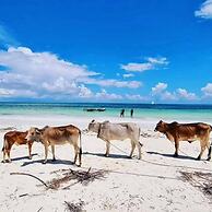 Sipano Beach Lodge Kiwengwa