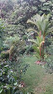 Ka Mario Guesthouse