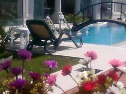 Dolunaydin