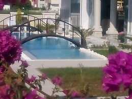 Dolunaydin