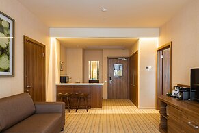 Elements Hotel Kirov 5*