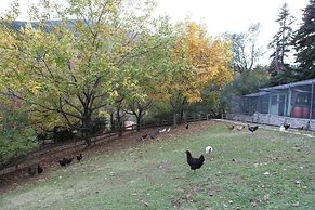 Vasilikia Mountain Farm & Retreat