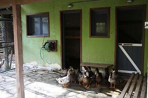 Vasilikia Mountain Farm & Retreat