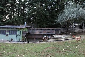 Vasilikia Mountain Farm & Retreat