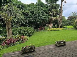Birds of paradise B&B