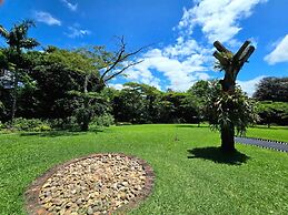 Birds of paradise B&B