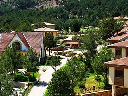 Pendosis Tatil Koyu
