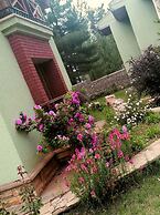 Pendosis Tatil Koyu