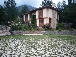 Pendosis Tatil Koyu