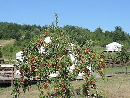 Società Agricola Cacigolara