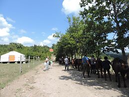 Società Agricola Cacigolara