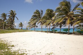 Exuma Palms