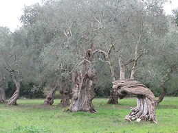 Tenuta Sant'Andrea