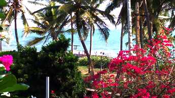 Sri Beach Bungalows and Villa