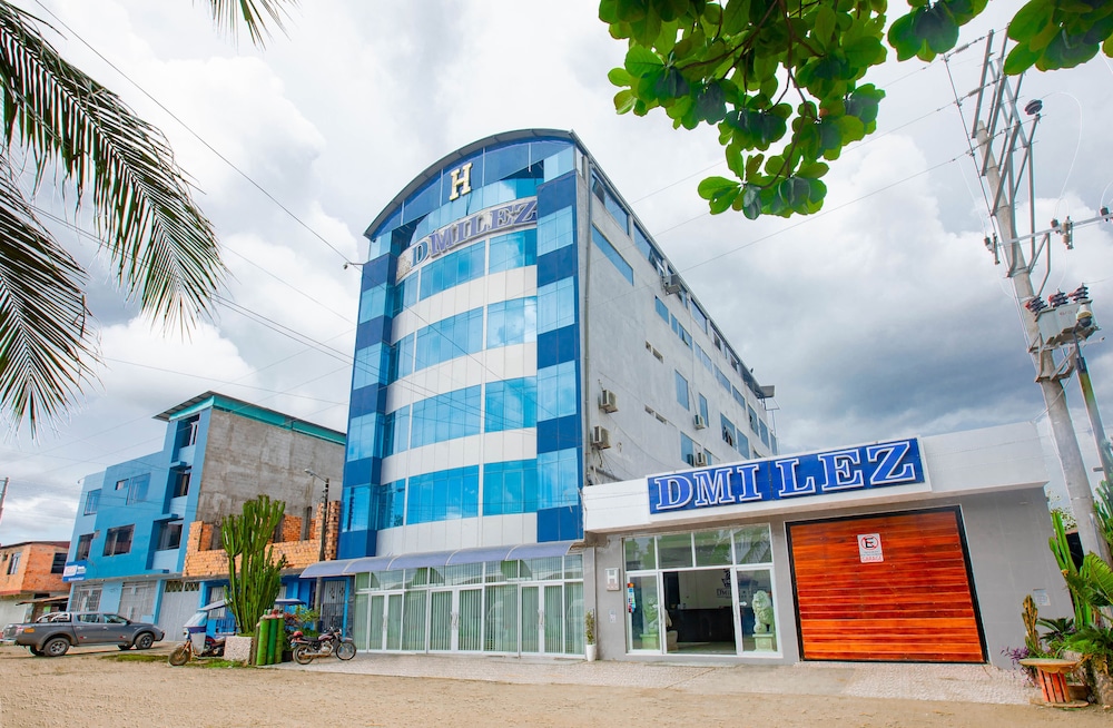 Dmilez Hotel