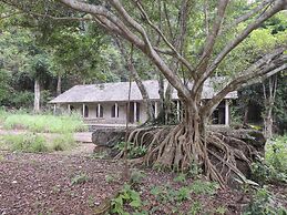 The Ancient House