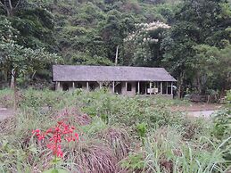 The Ancient House