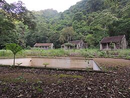 The Ancient House