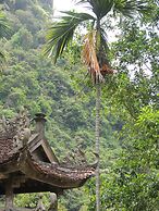 The Ancient House