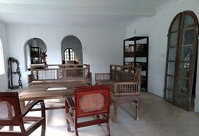 The Ancient House