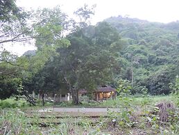The Ancient House