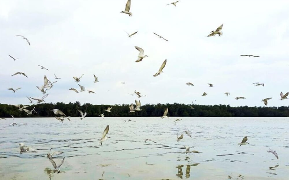 Sekinchan Seaview Homestay