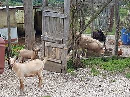 Agriturismo Cisogna