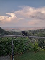 Agriturismo La casella