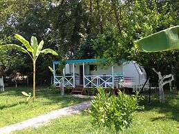 Bellerofon Camping