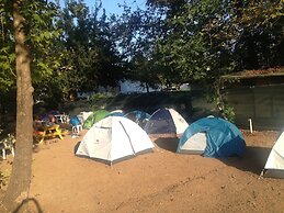 Bellerofon Camping