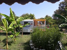 Bellerofon Camping