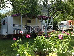 Bellerofon Camping