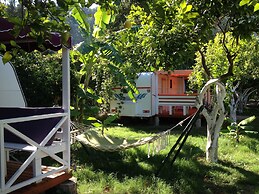 Bellerofon Camping